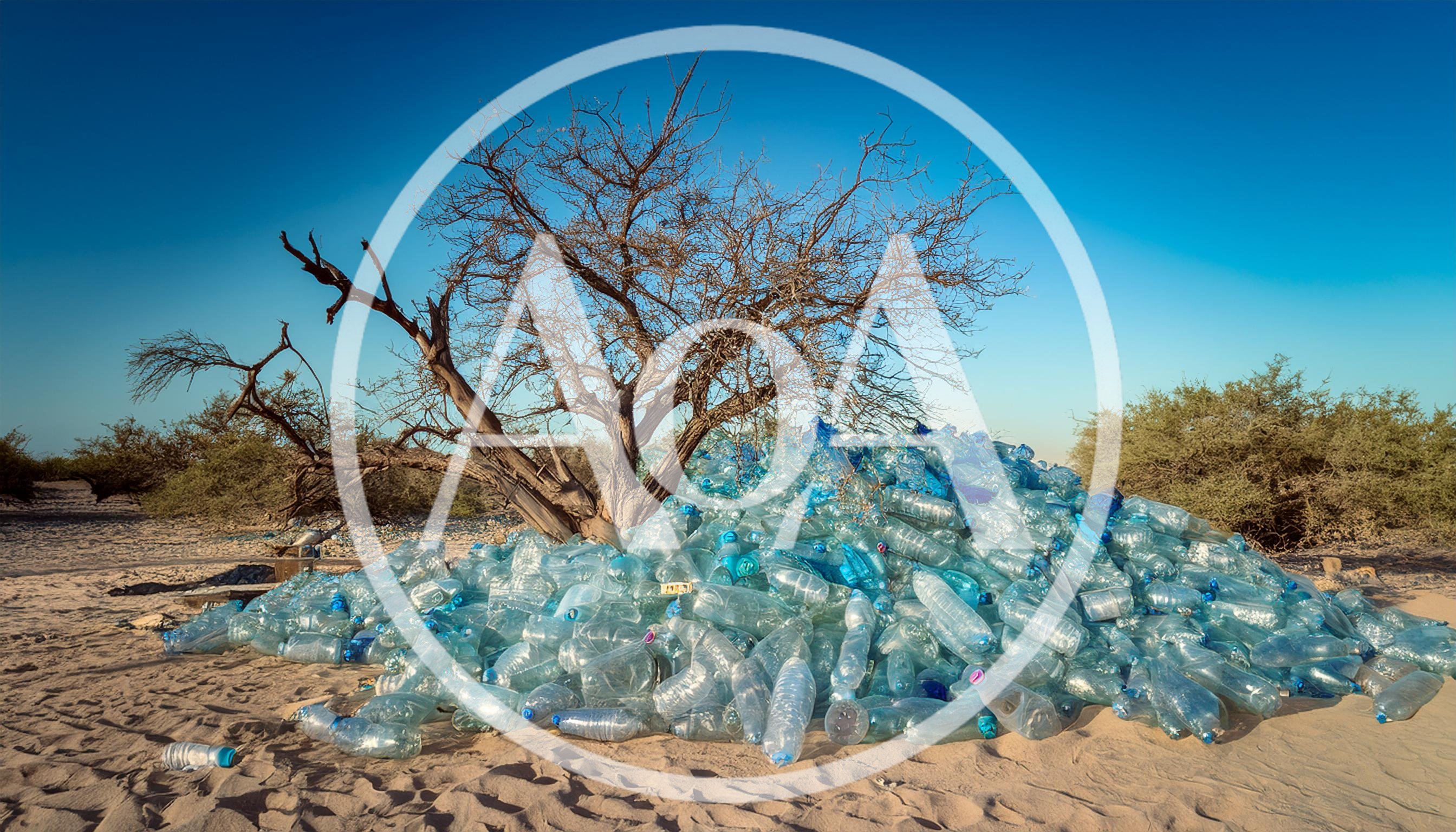 Large Pile Of Discarded Plastic Bottles Under A Dead Tree