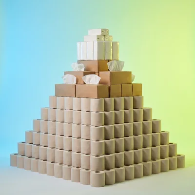 Pyramid Stack of Toilet Paper and Tissue Boxes