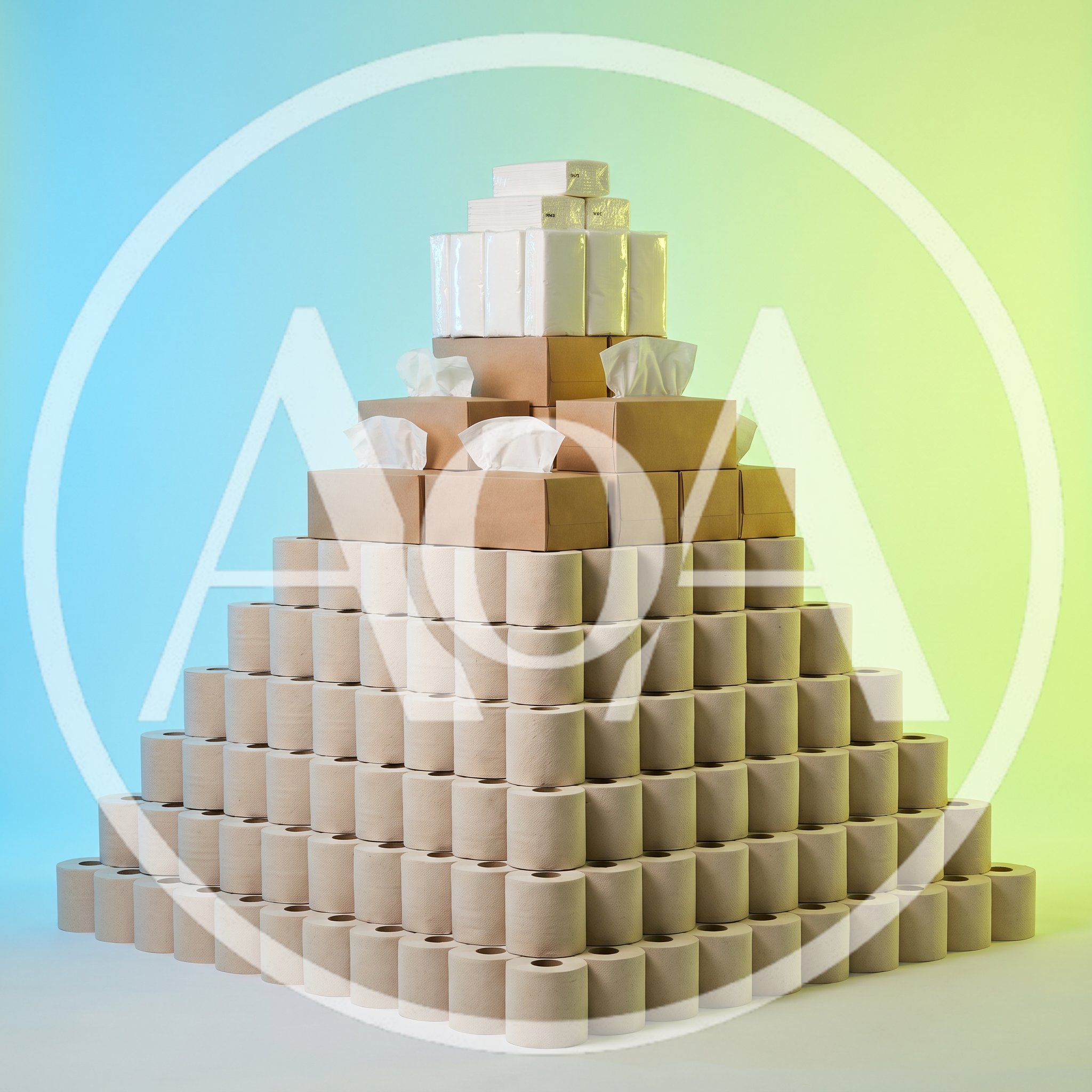 Pyramid Stack of Toilet Paper and Tissue Boxes