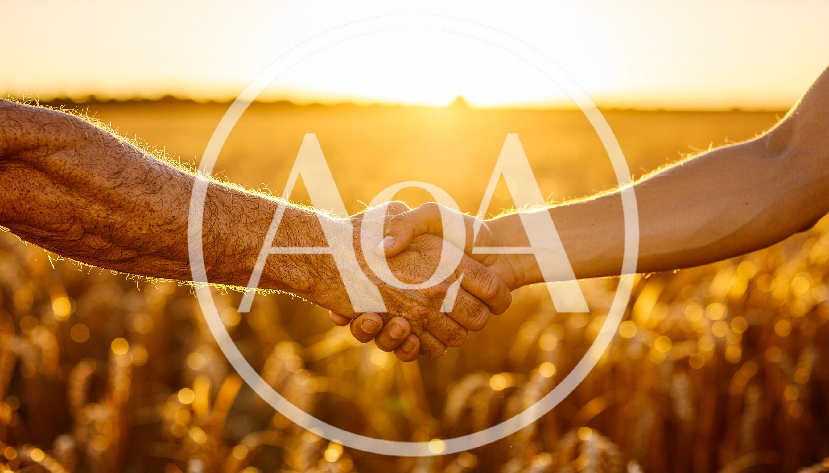 Close Up Of Two Men Shaking Hands In Wheat Field