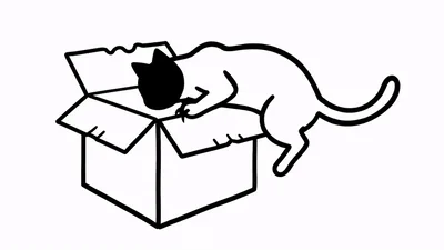A black cat smiles and uses its claw to open a cardboard box and climbs inside