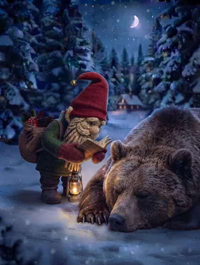 Gnome Reading A Book To A Sleeping Bear