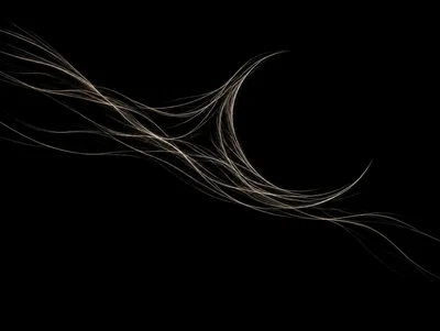 Abstract Light Trails Flowing On Black Background