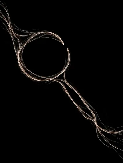 Abstract Light Trails Forming A Circular Shape