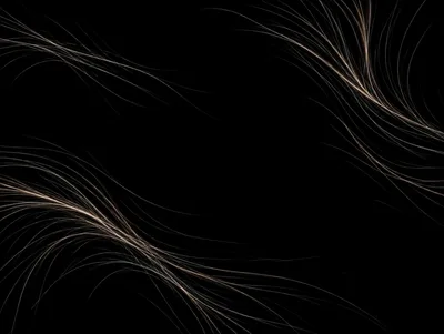 Abstract Flowing Light Lines On Black Background
