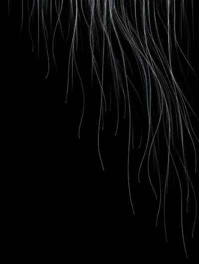 Abstract Light Trails Flowing Downward On Black Background