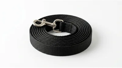 Coiled Black Nylon Dog Leash With Metal Clip