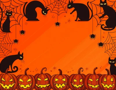 Halloween Background With Black Cats And Jack O Lanterns