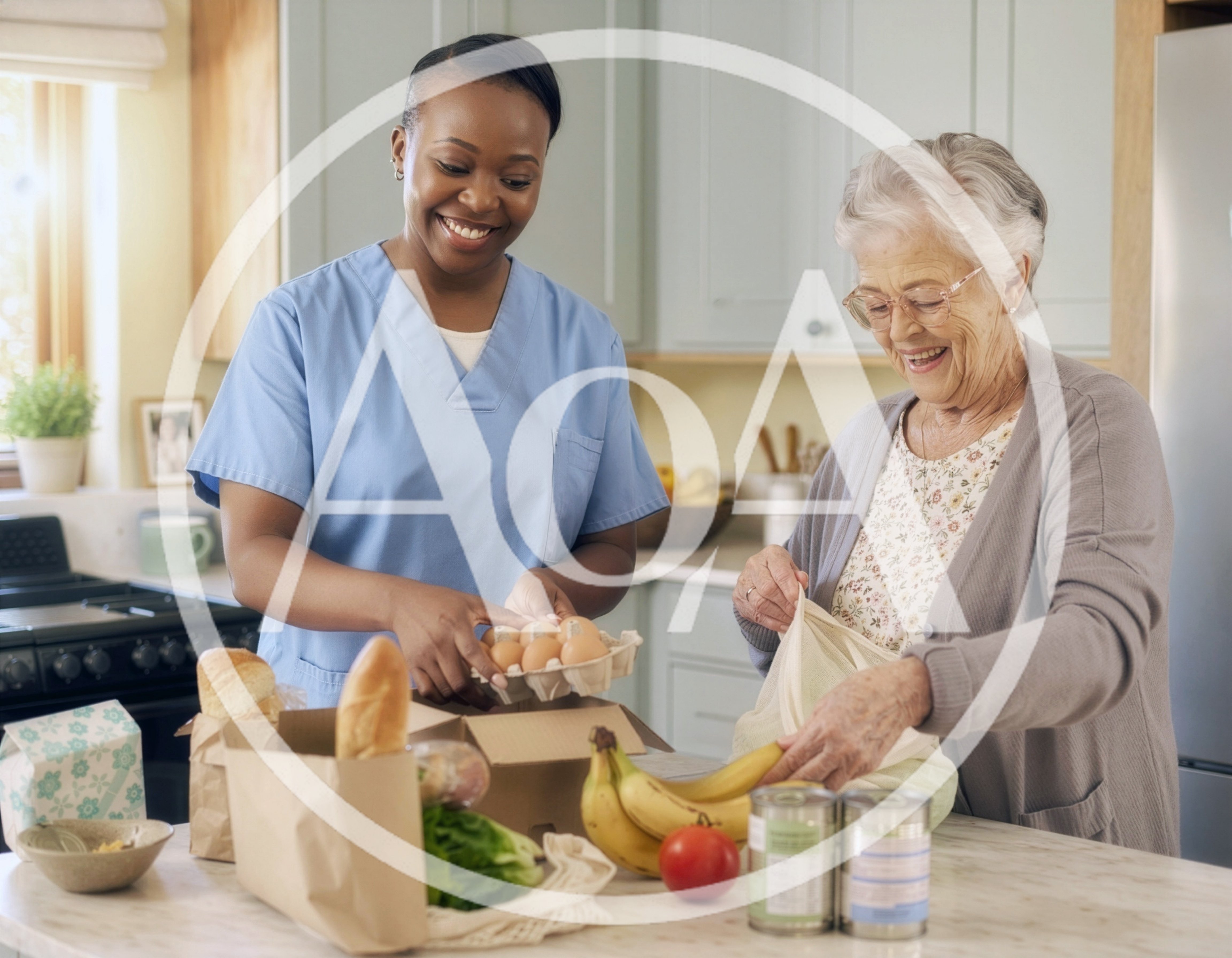 Caregiver Helping Senior Woman Unpack Groceries