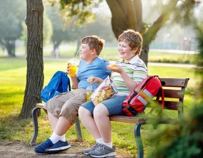 Two Boys Eating Snacks on a Park Bench