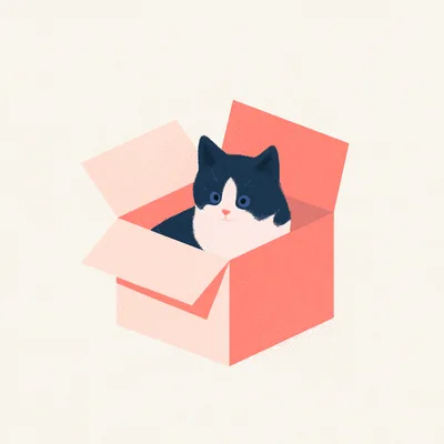 Cute Black and White Cat Sitting Inside Cardboard Box
