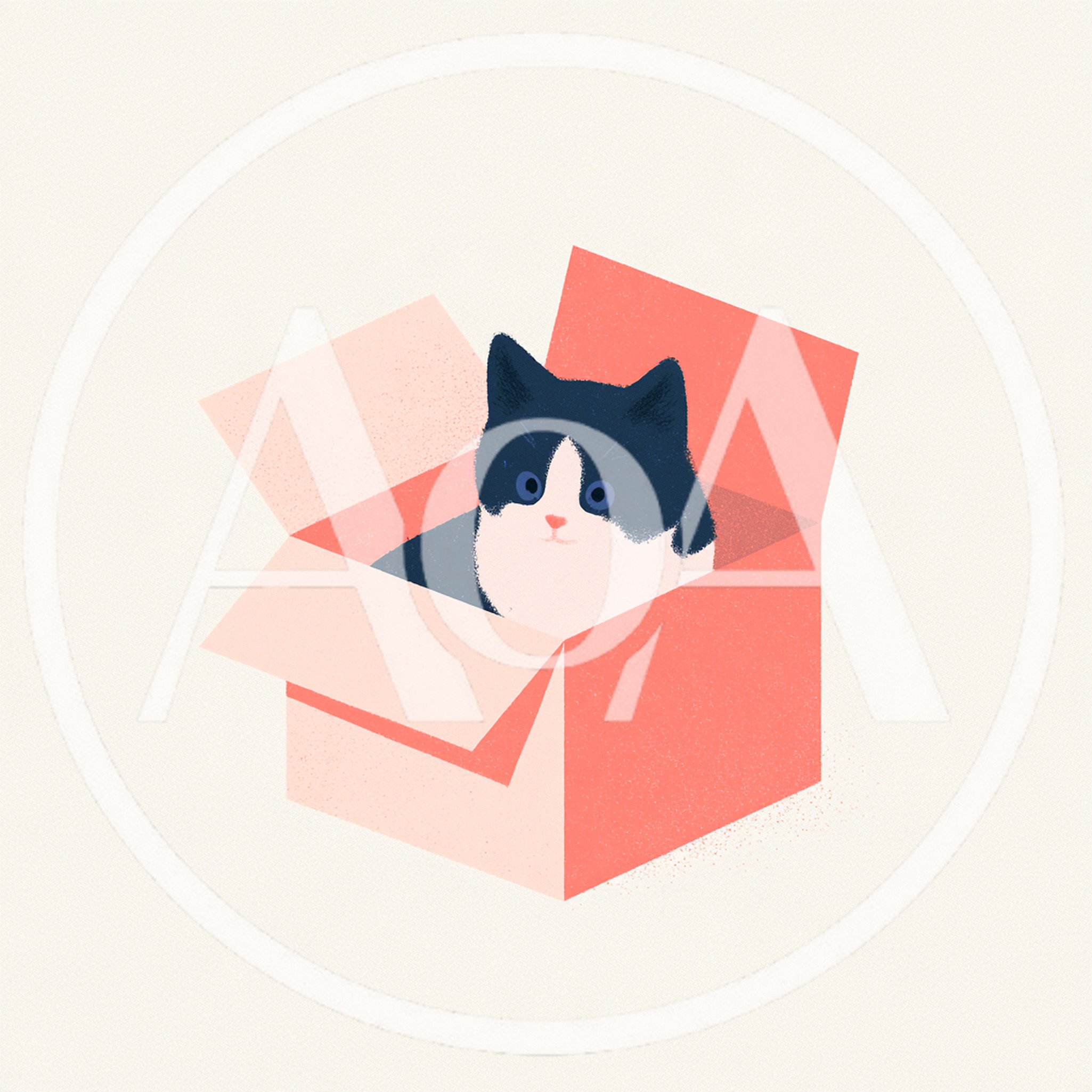 Cute Black and White Cat Sitting Inside Cardboard Box