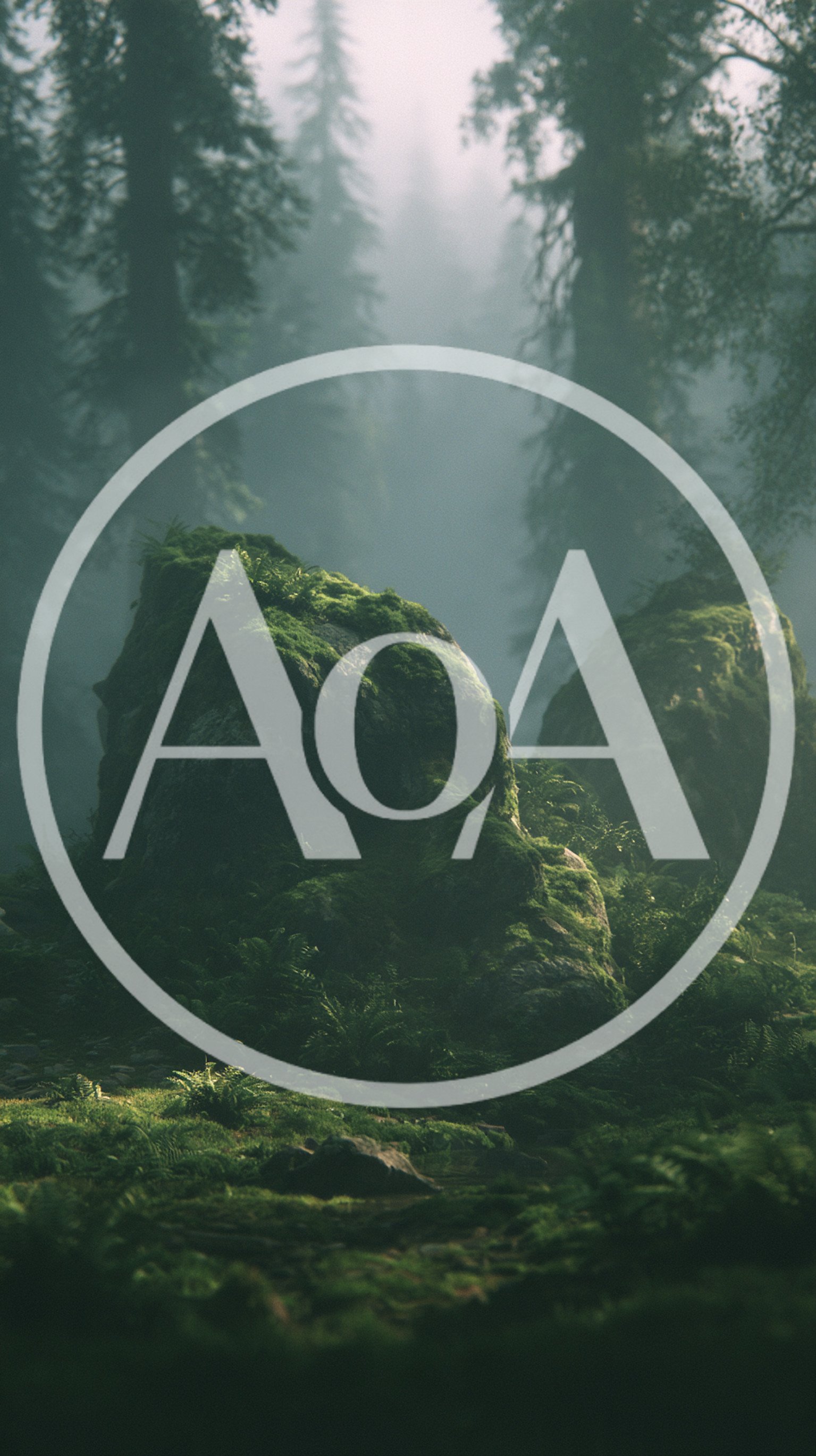Mossy Boulders In A Misty Ancient Forest