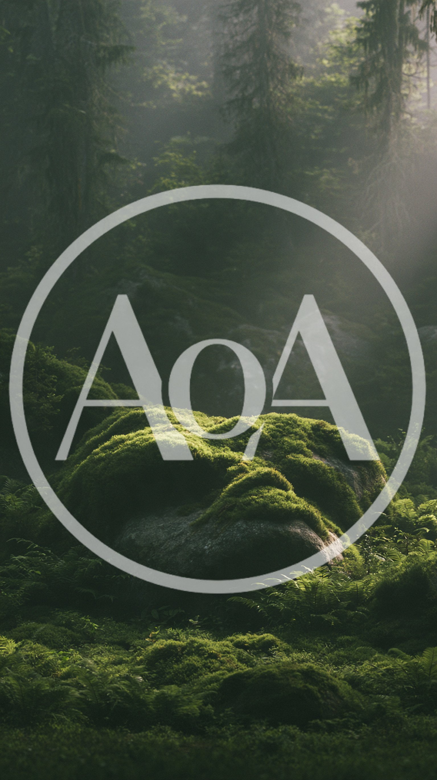Moss Covered Boulder In A Misty Forest