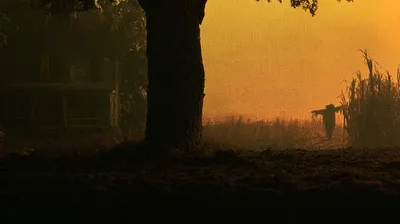 Eerie Scarecrow Standing in a Darkened Cornfield at Sunset
