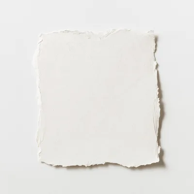 Blank Torn Edge Paper Sheet On White Background