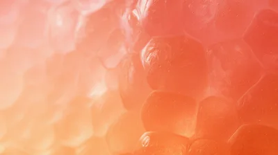 Macro Close Up Of Juicy Grapefruit Pulp Texture