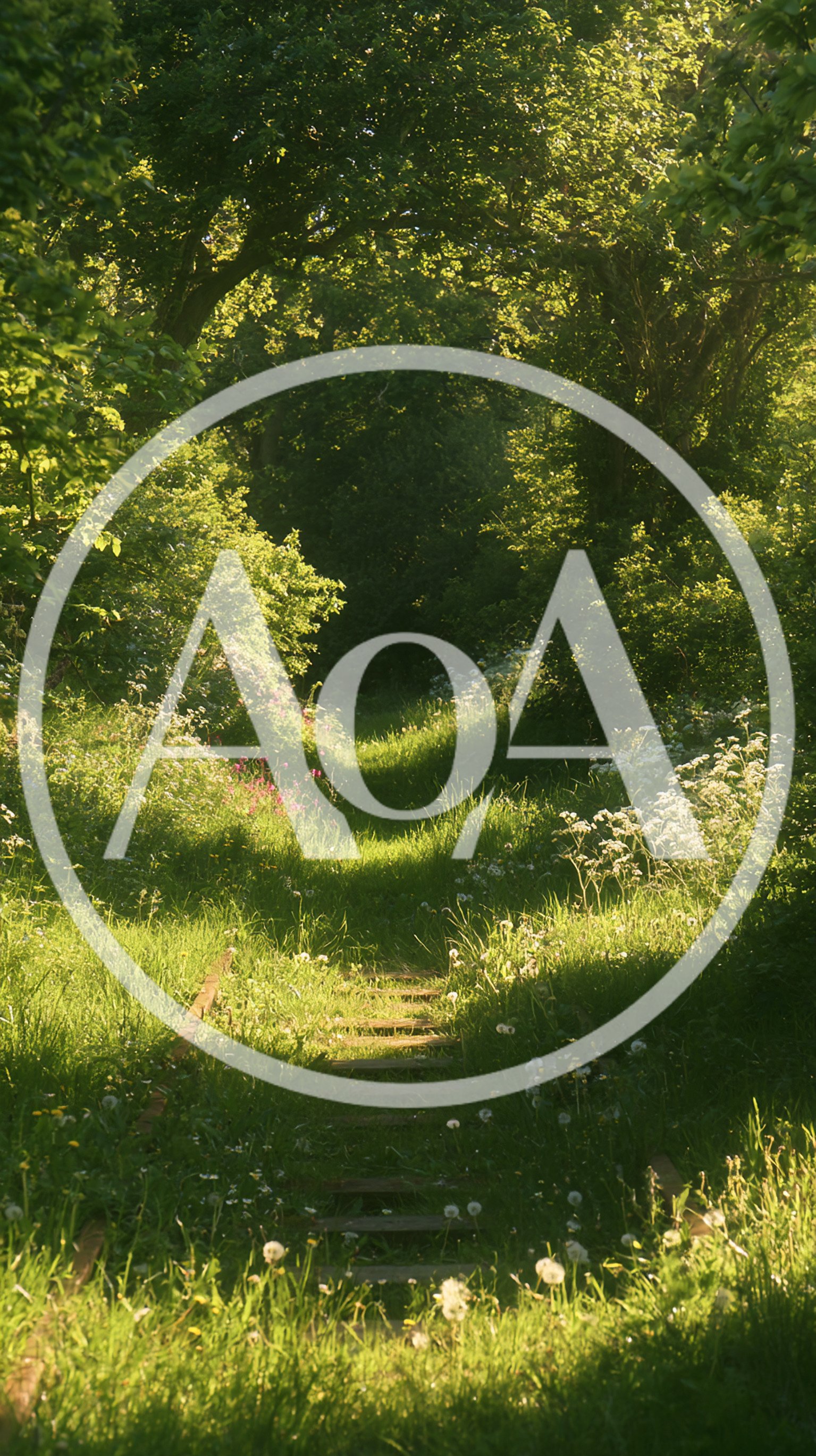 Overgrown Abandoned Railway Tracks Through A Lush Green Forest