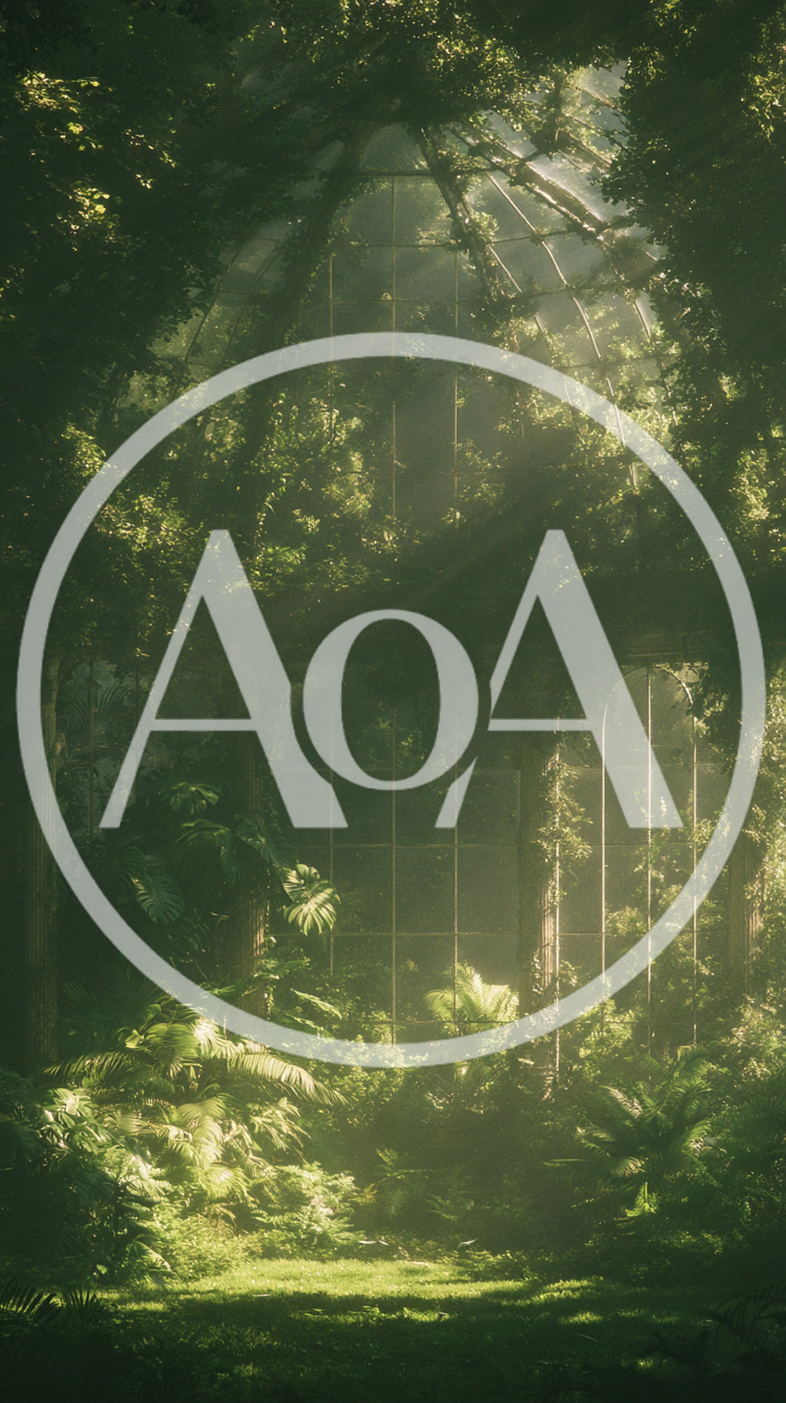 Overgrown Abandoned Greenhouse With Lush Tropical Vegetation