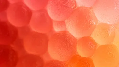 Macro View Of Vibrant Red And Orange Fish Roe