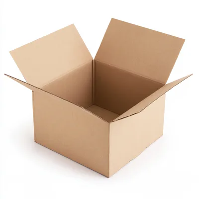 Open Empty Cardboard Box Isolated On White Background