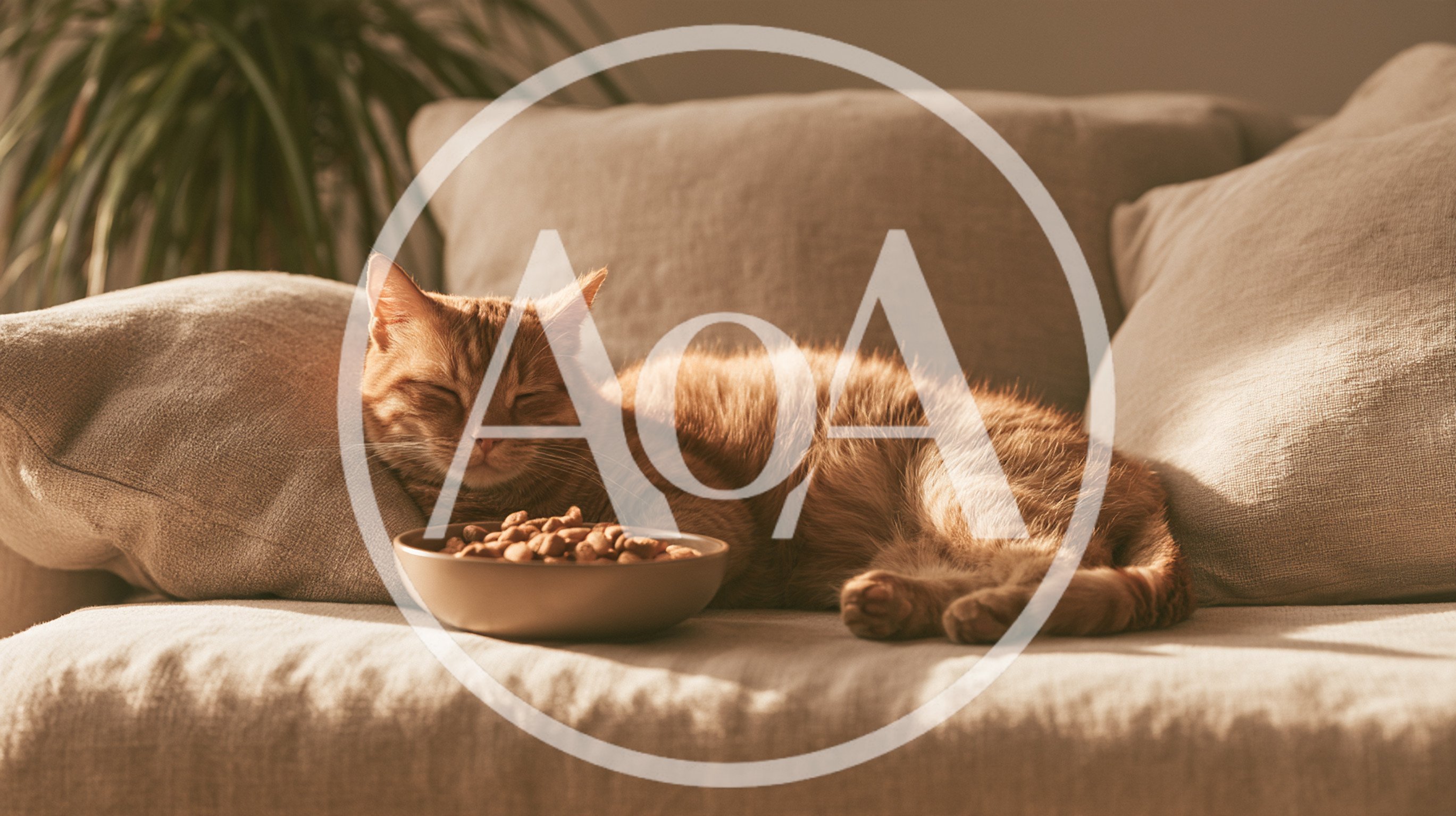 Ginger Cat Sleeping Beside A Bowl Of Dry Food