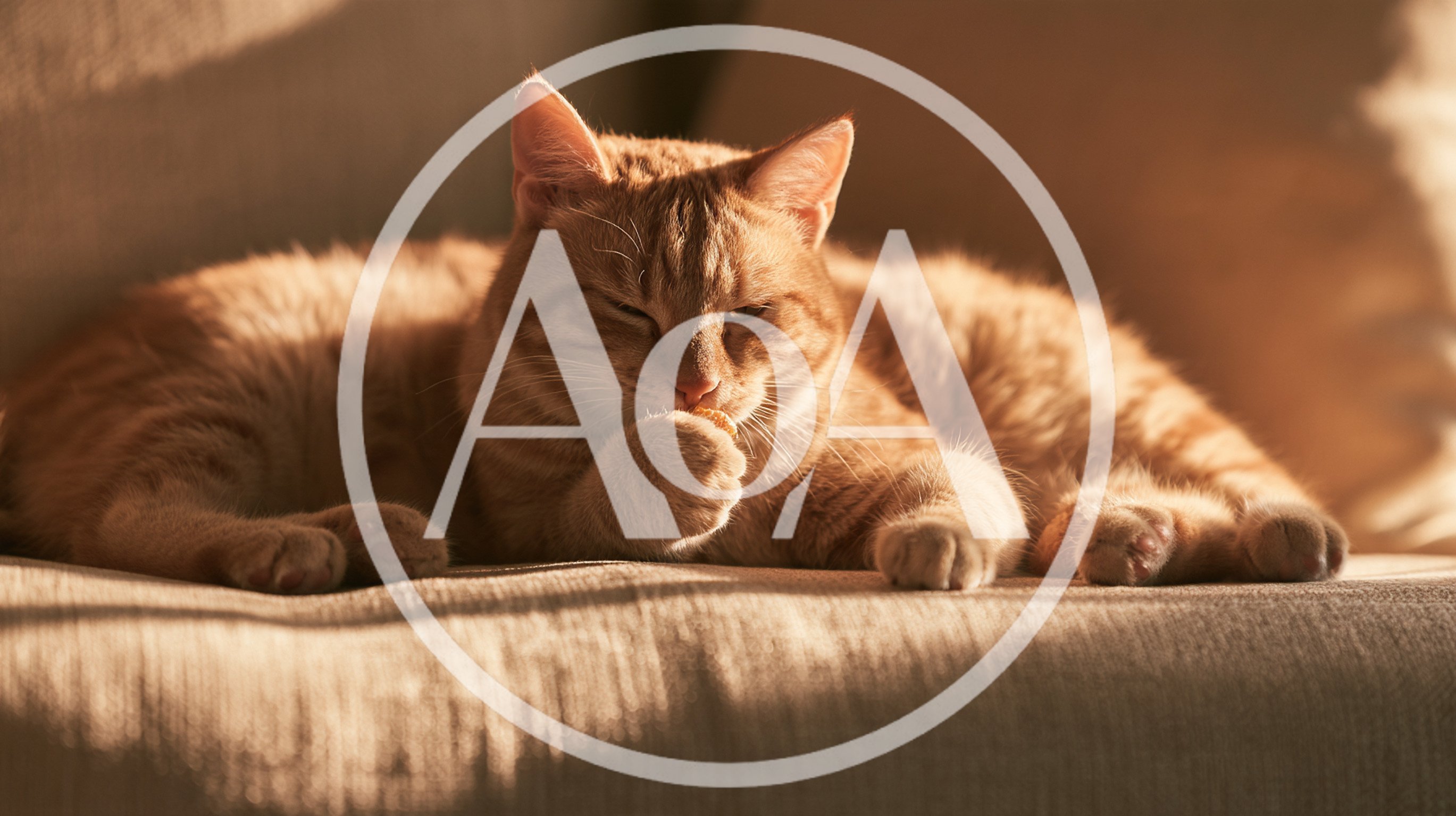 Ginger Tabby Cat Grooming Itself On A Sofa