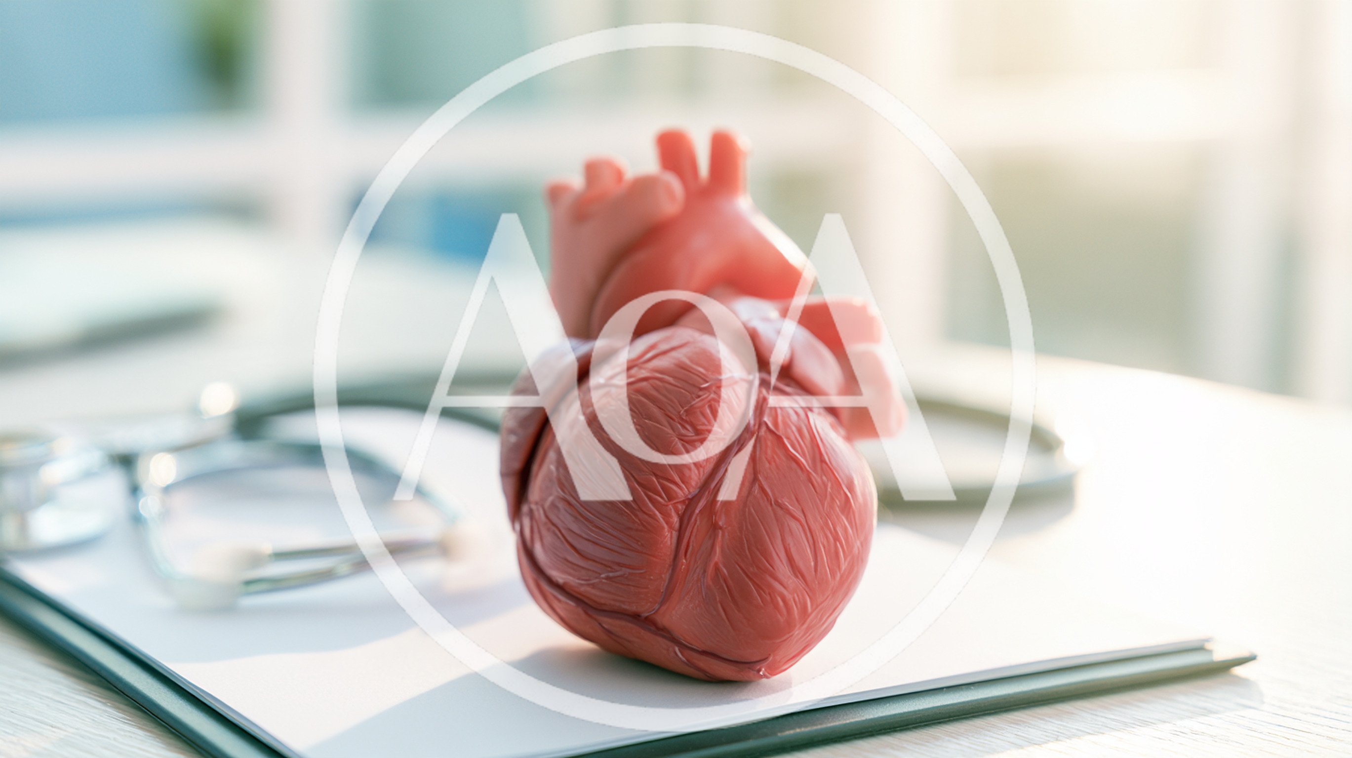 Anatomical Heart Model With Stethoscope On Medical Clipboard