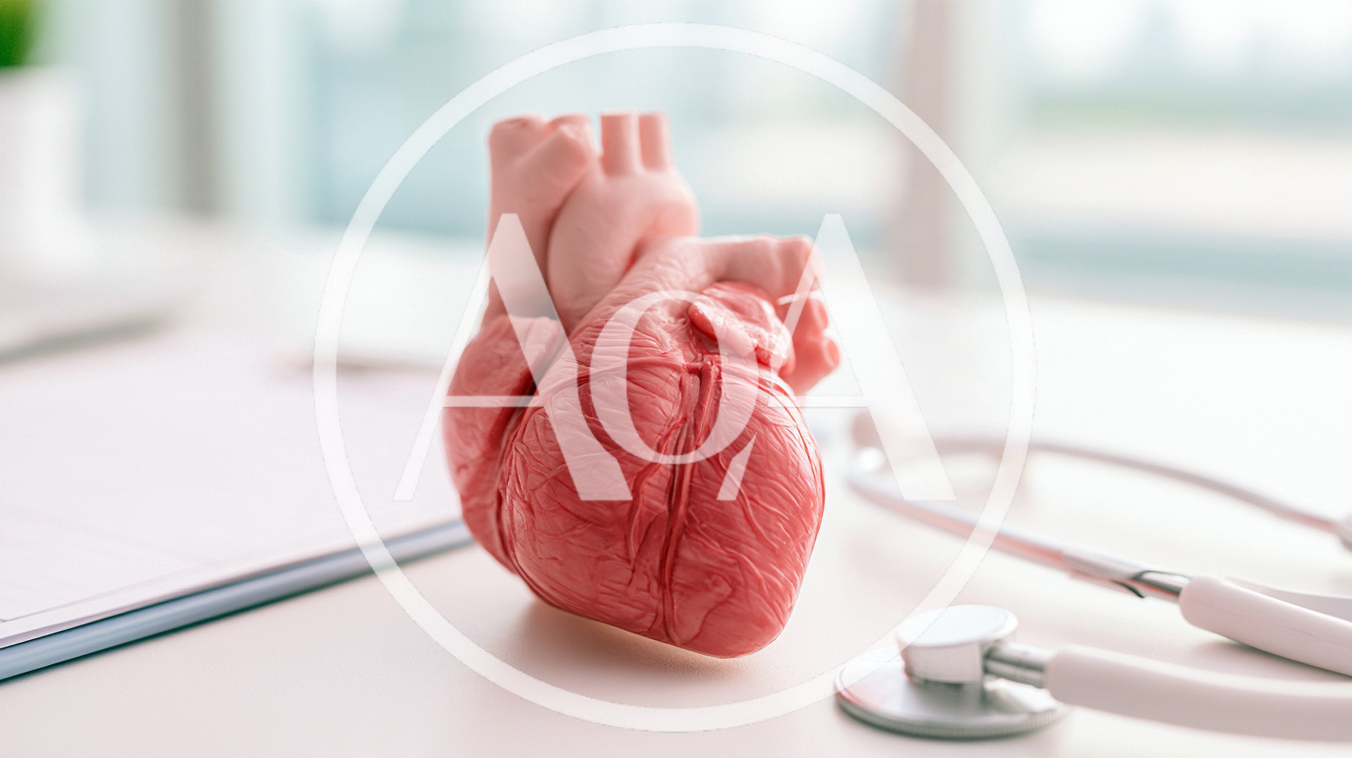 Anatomical Heart Model With Stethoscope On Medical Desk