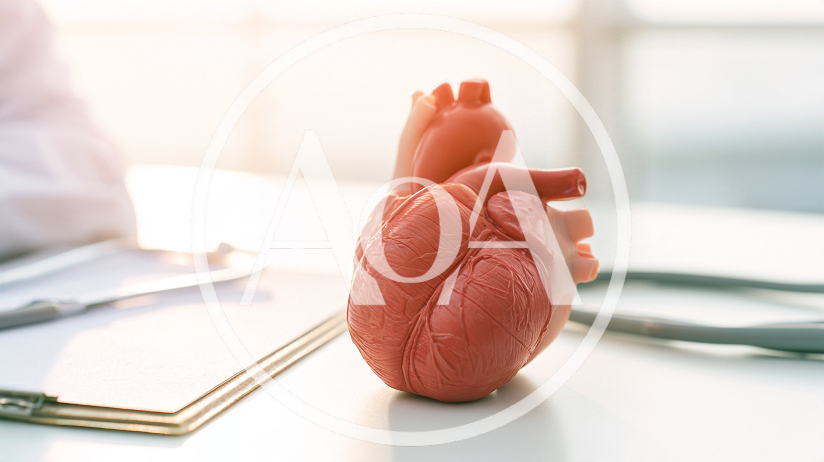 Anatomical Heart Model On A Doctor Office Desk