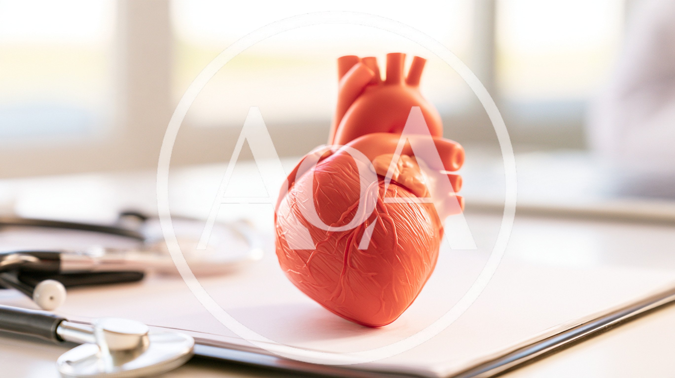Anatomical Heart Model On A Medical Clipboard