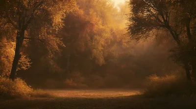 Golden Autumn Forest Clearing At Sunrise
