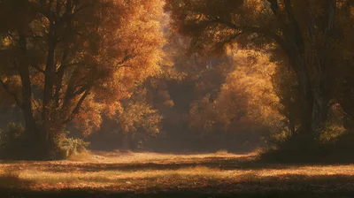 Golden Autumn Forest Clearing With Sunlight