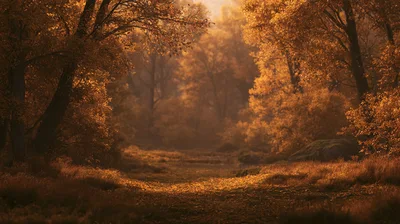 Golden Autumn Forest Path At Sunset