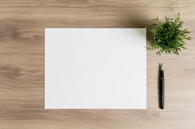 Blank White Paper Sheet With Fountain Pen And Plant