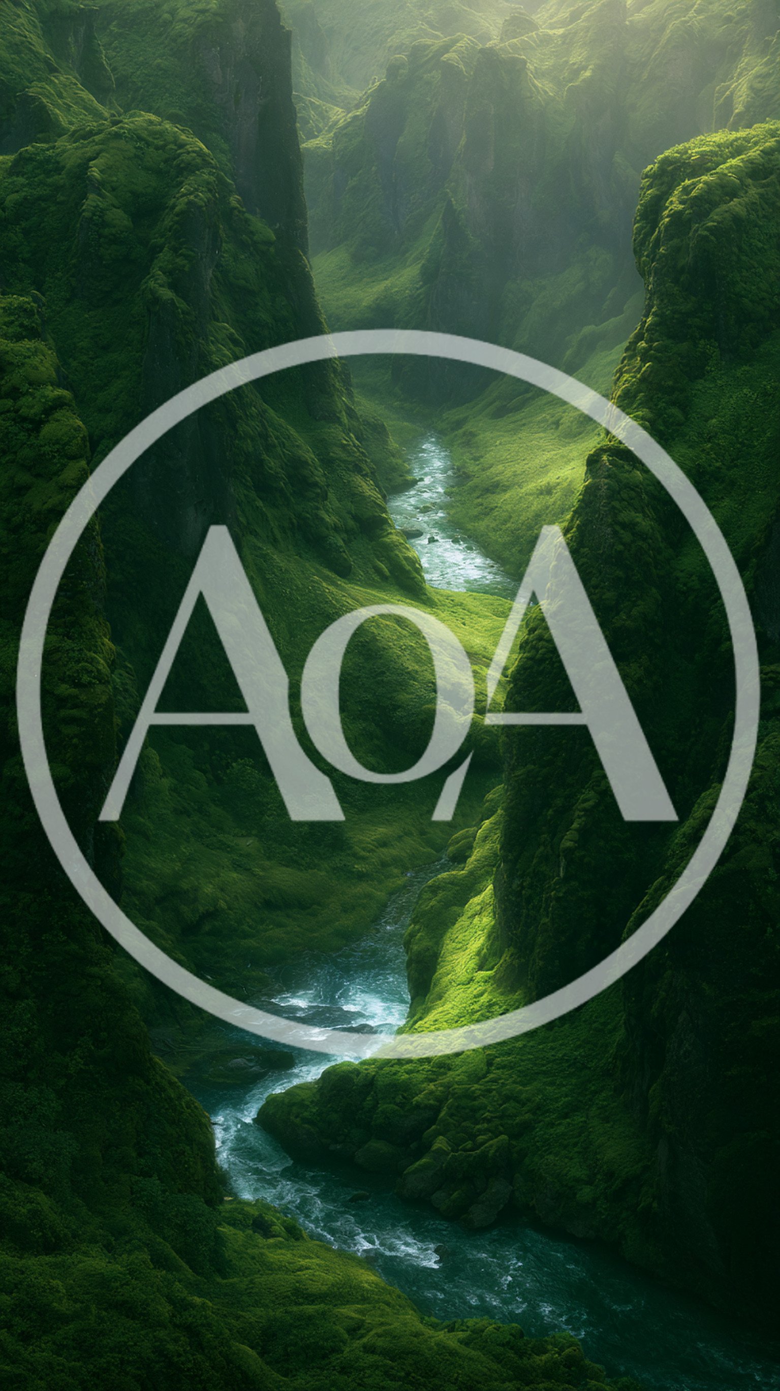 Aerial View Of Lush Green Mossy Canyon With River