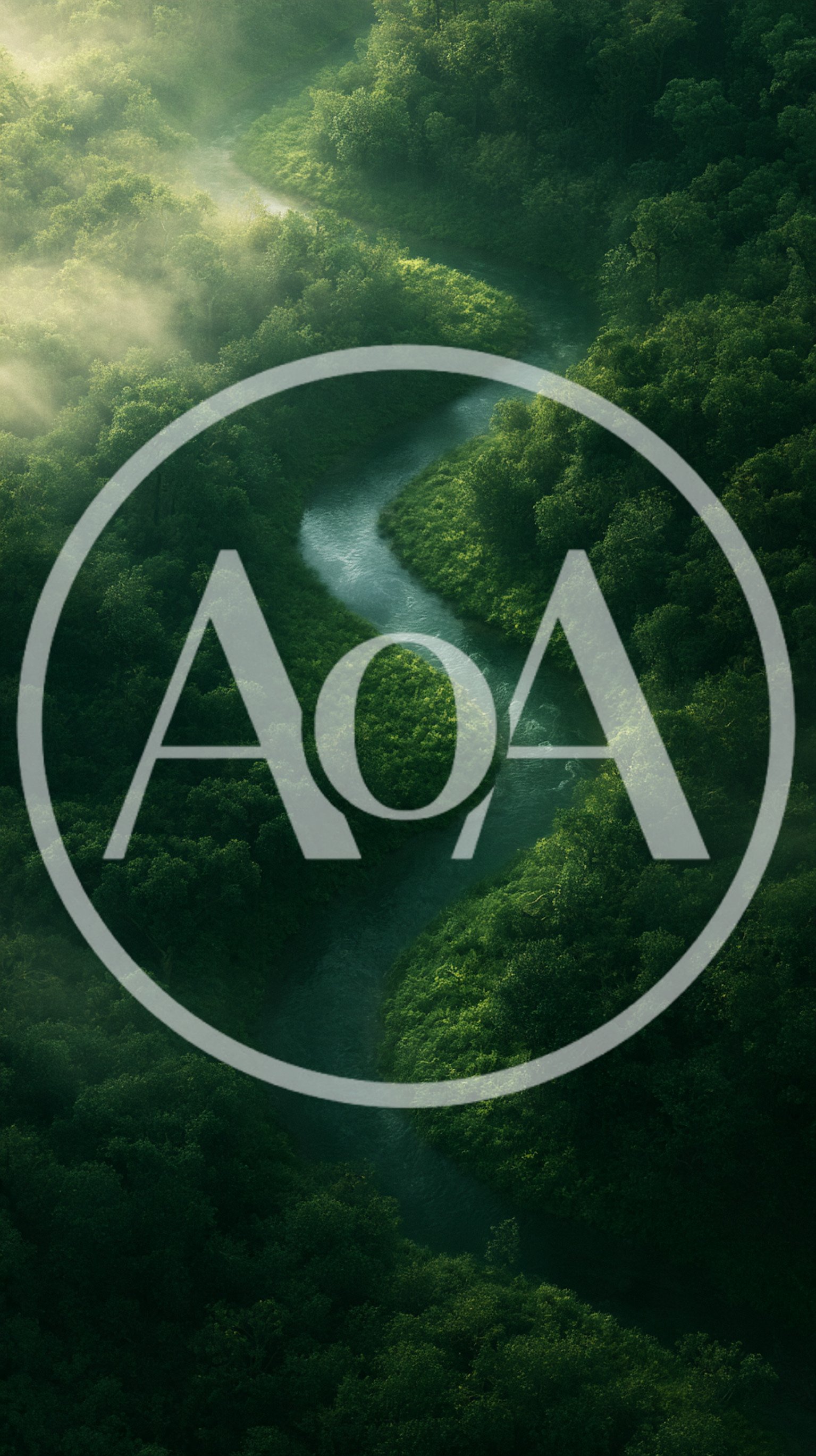 Aerial View Of A Winding River Through Lush Rainforest