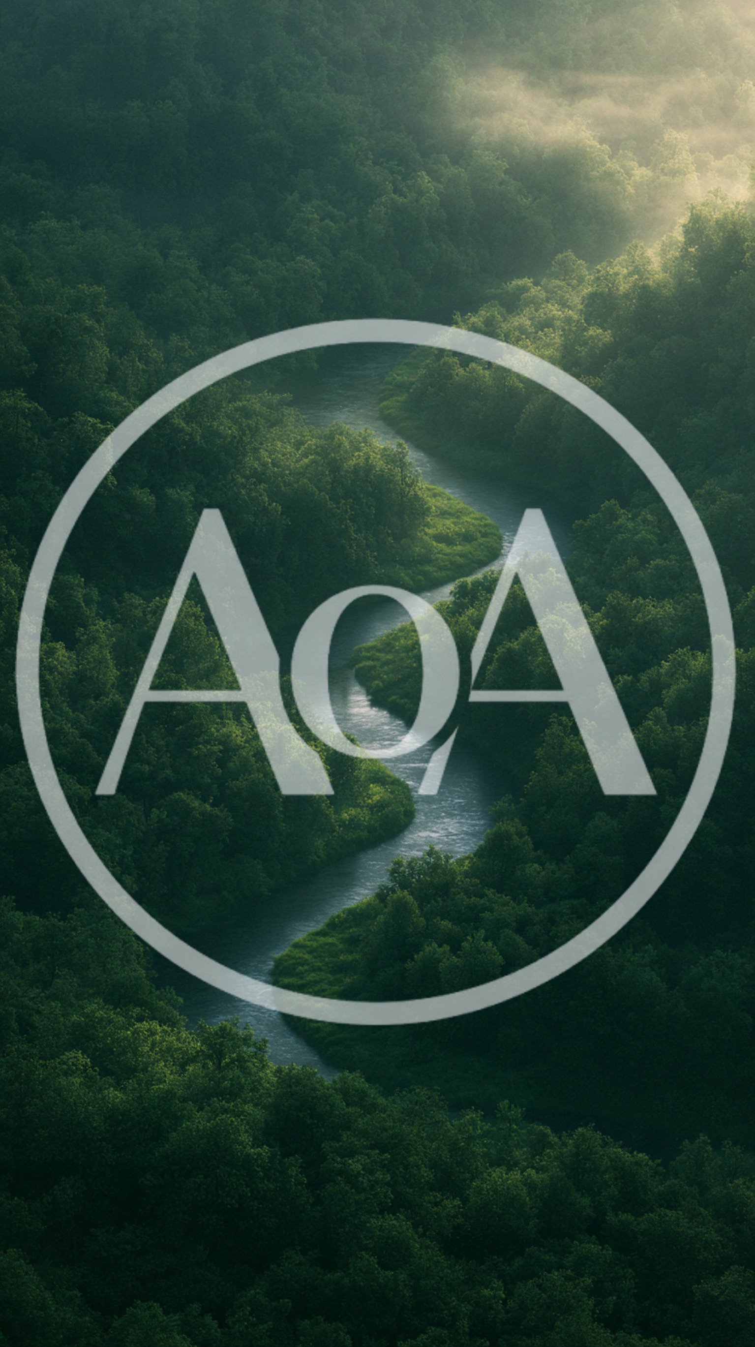 Aerial View Of A Winding River Through Dense Forest