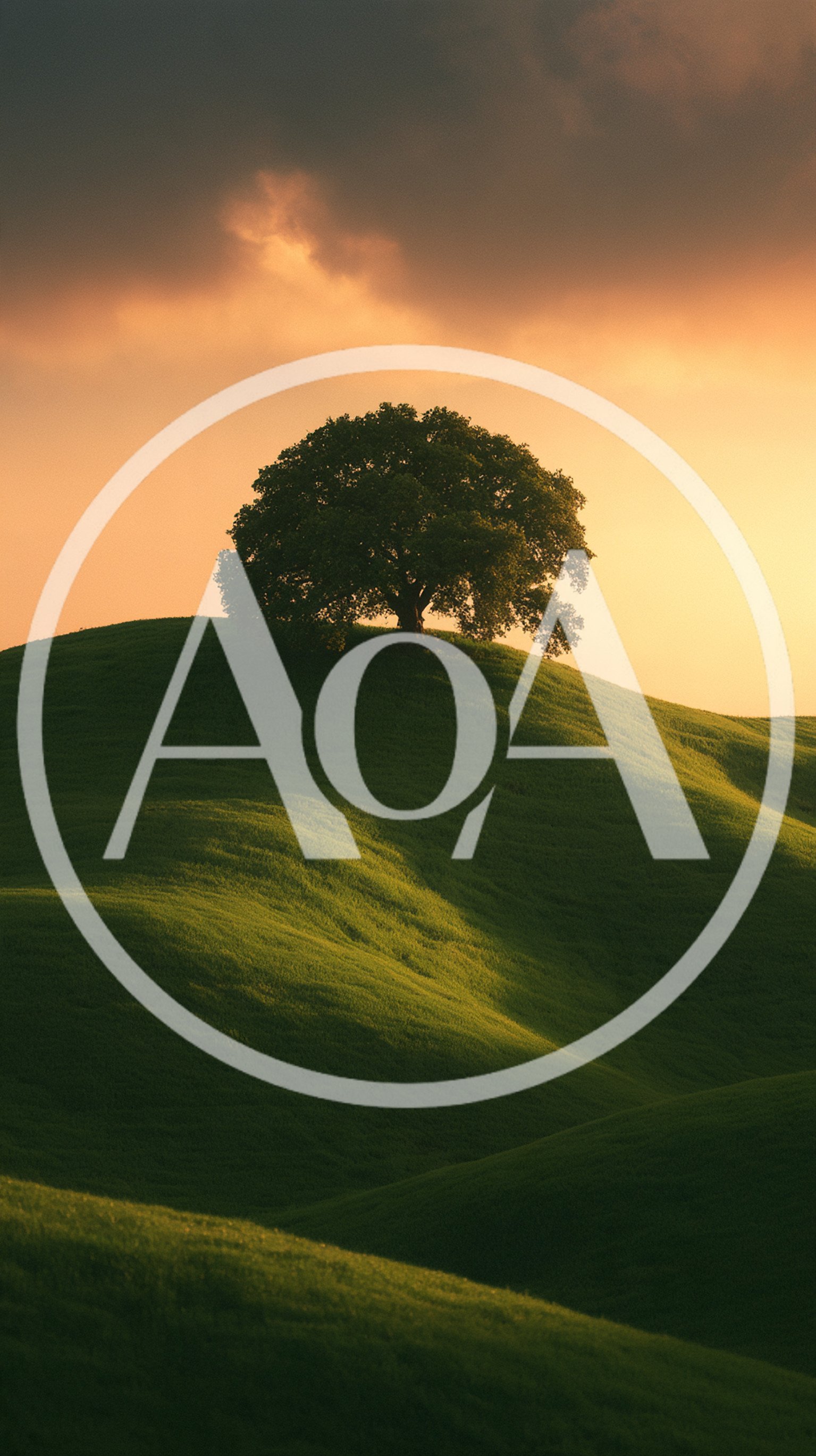 Solitary Oak Tree On Rolling Green Hill At Sunset