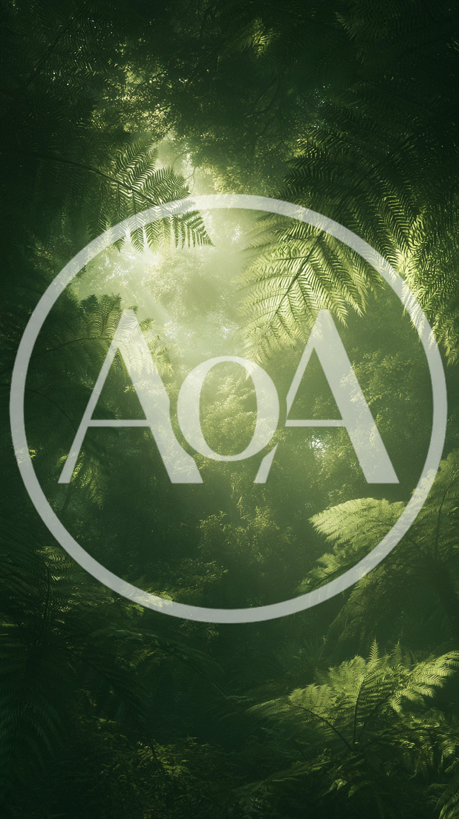 Sunlight Filtering Through Lush Tropical Rainforest Canopy