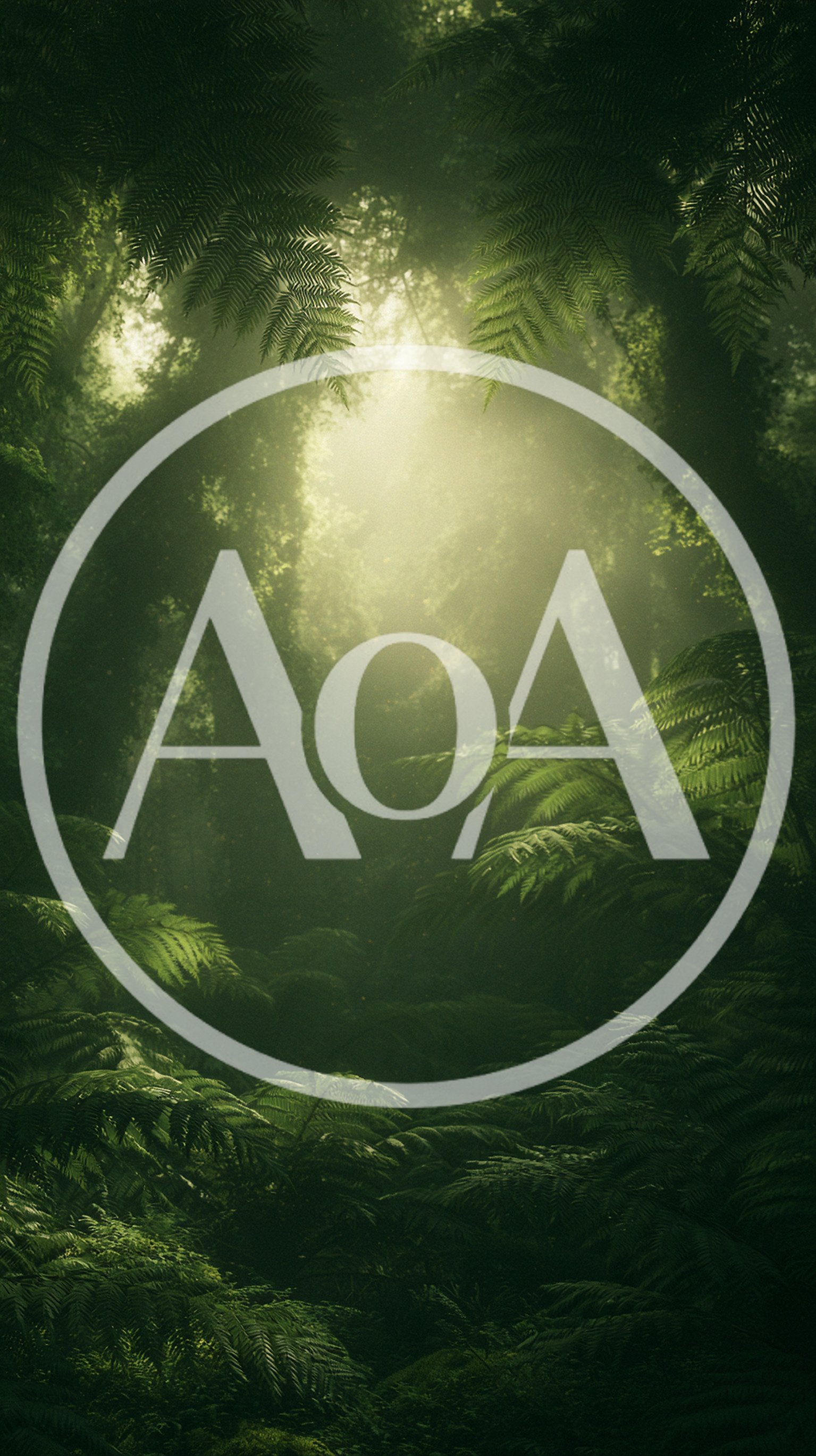 Lush Tropical Rainforest With Sunbeams Filtering Through Canopy