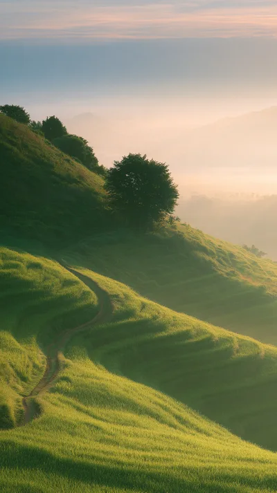 Winding Dirt Path Through Lush Green Terraced Hills