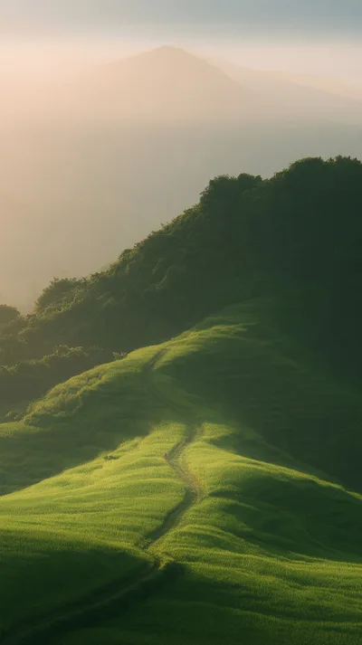 Lone Hiker Walking Along A Lush Green Mountain Ridge