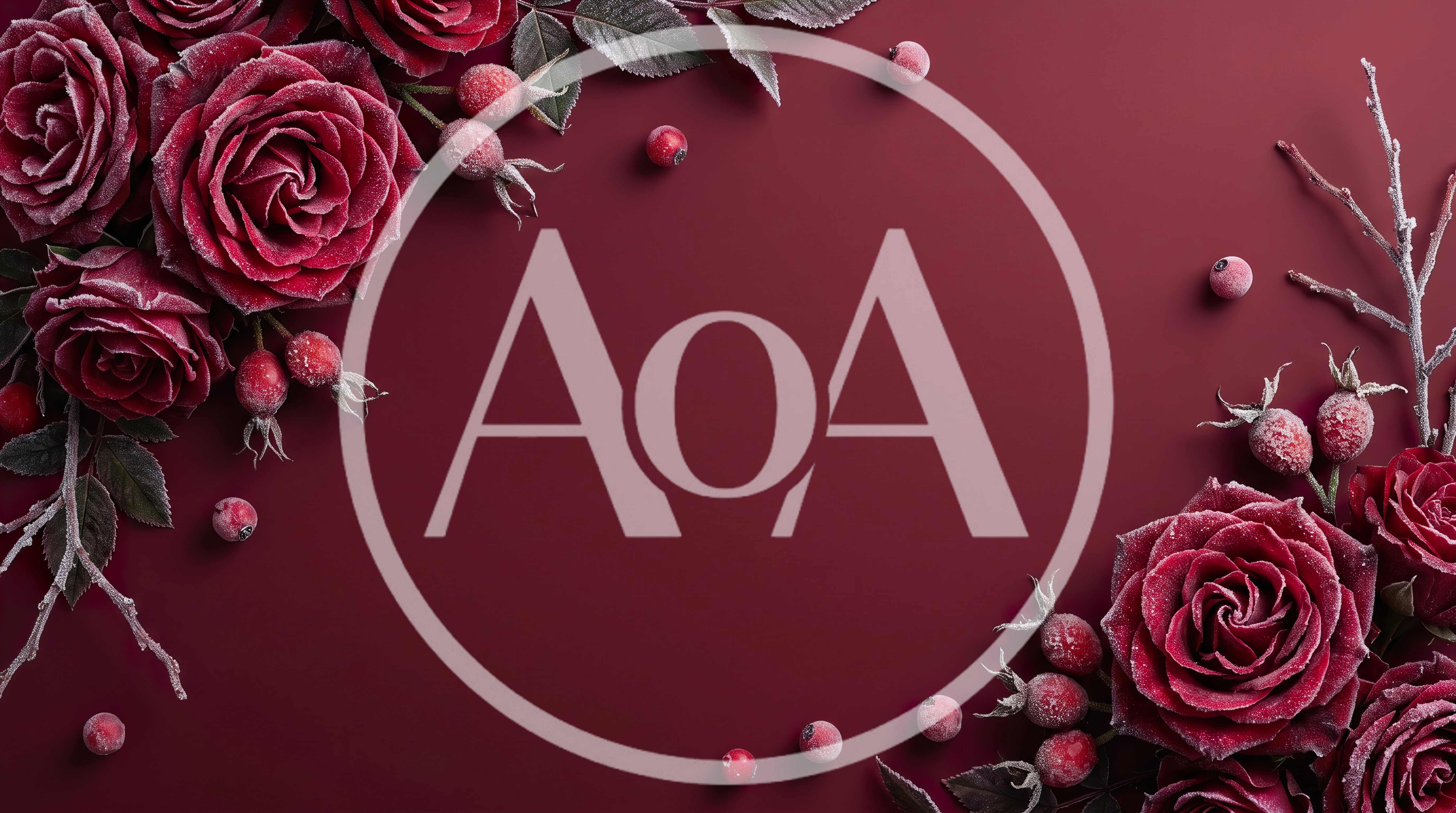 Frosted Red Roses And Berries Holiday Background