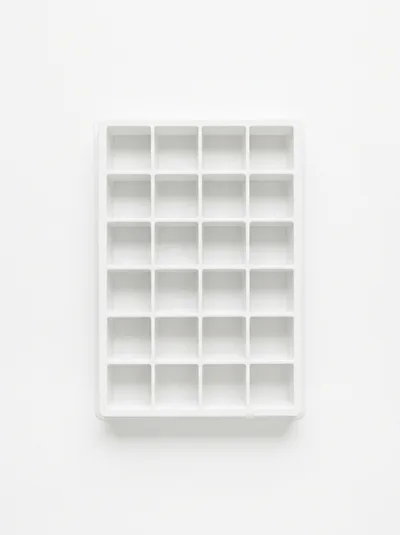 Empty White Plastic Ice Cube Tray