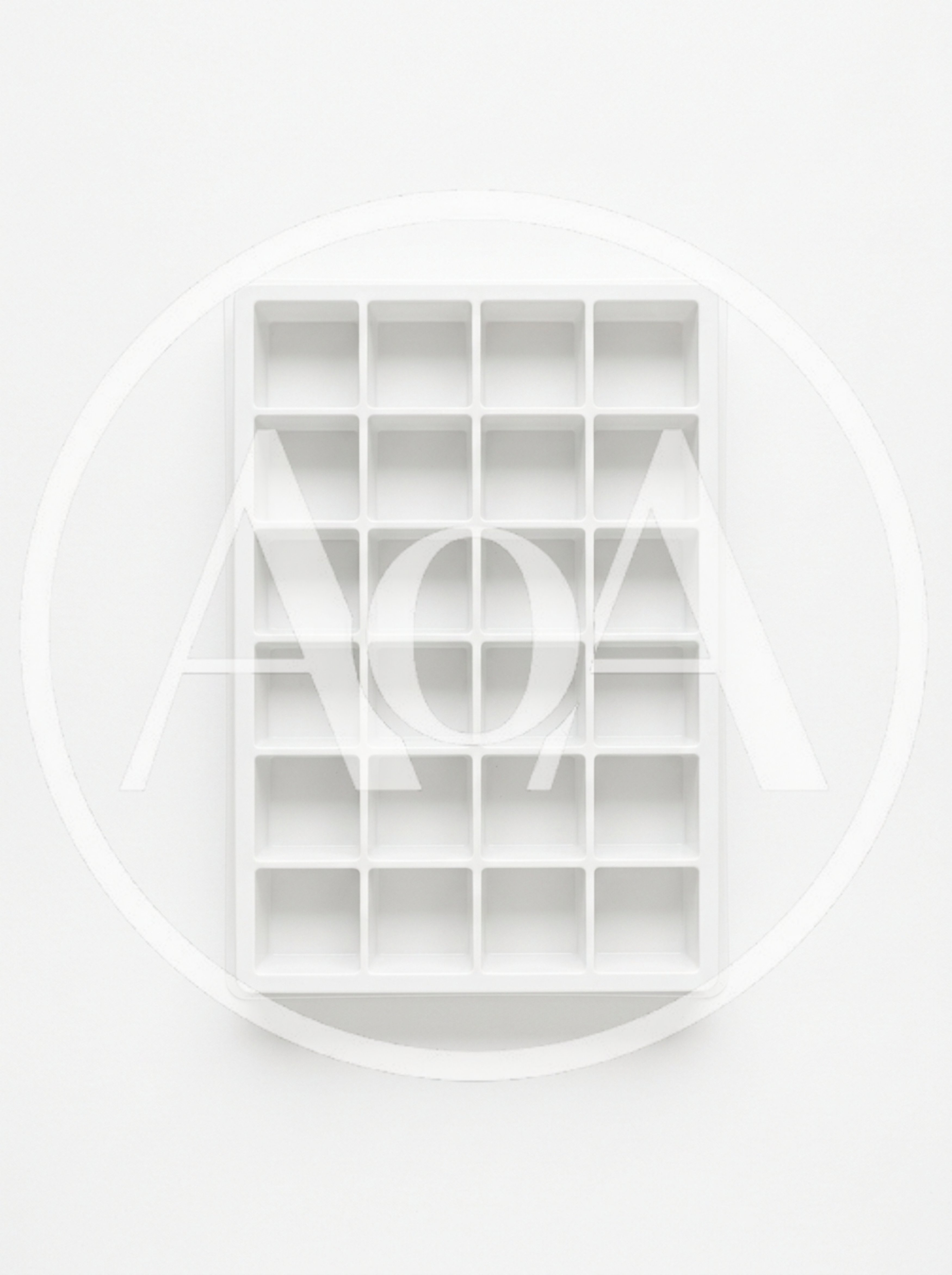 Empty White Plastic Ice Cube Tray