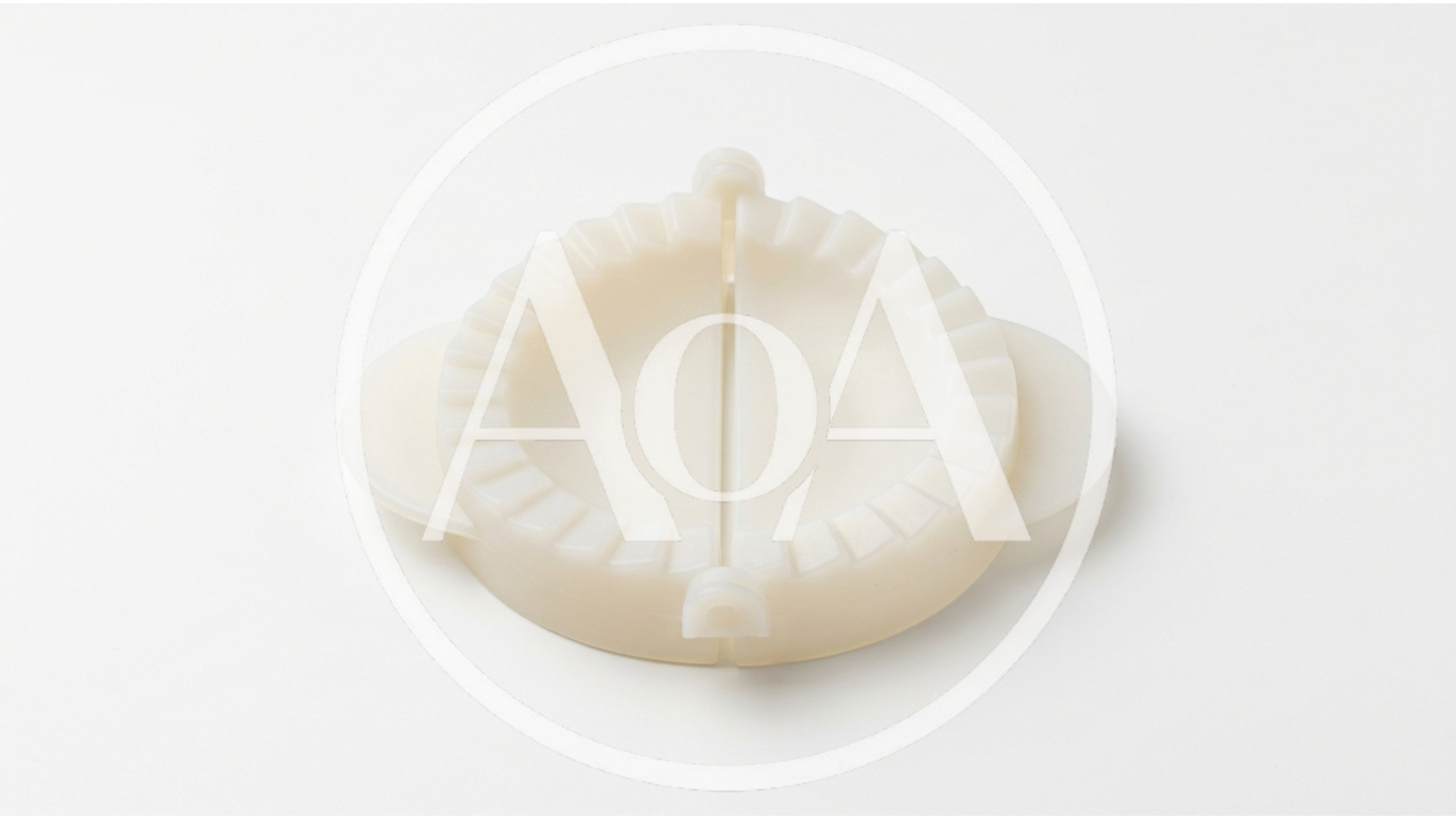 White Plastic Dumpling Press Mold