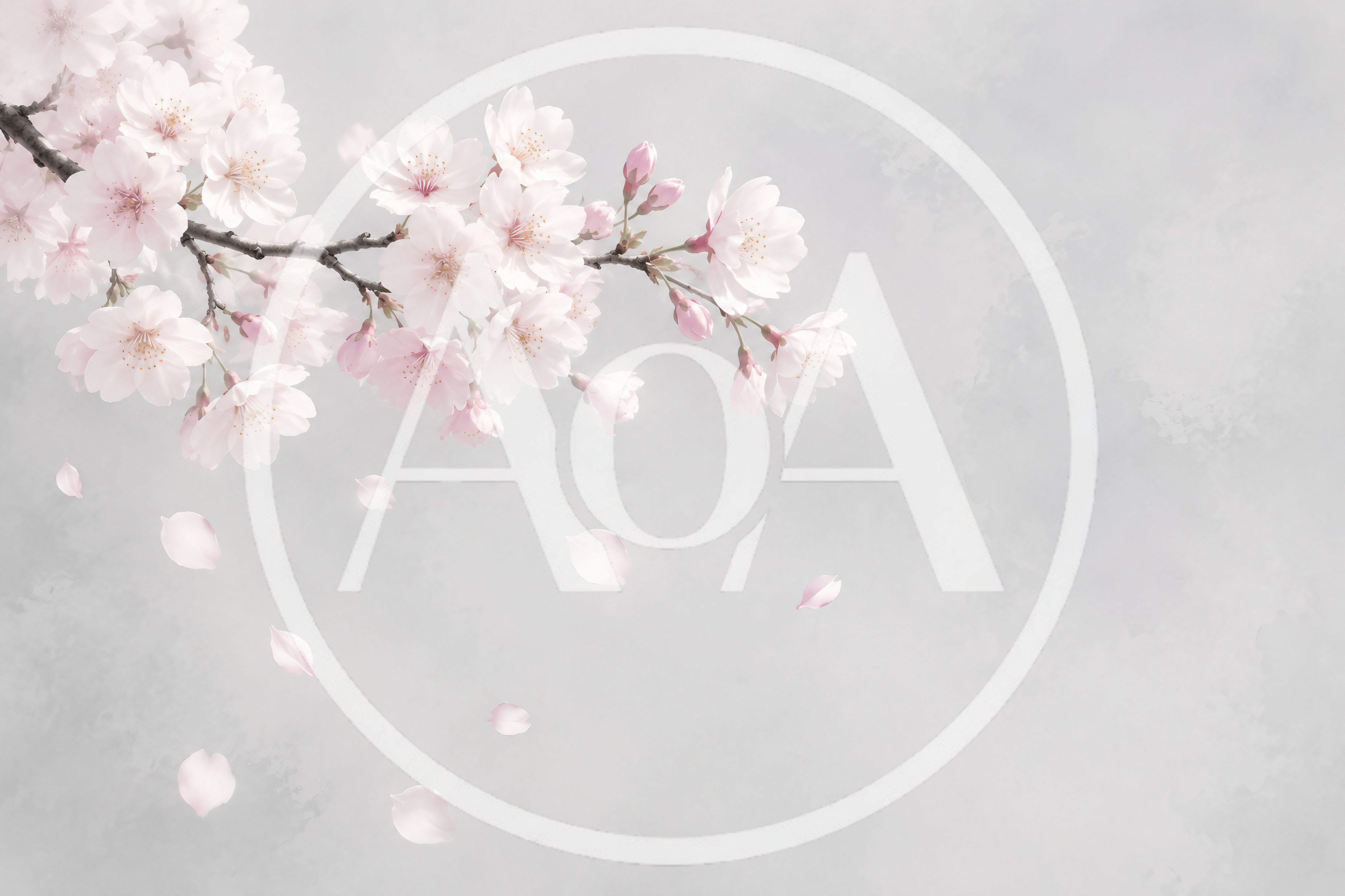 Cherry Blossom Branch With Falling Petals