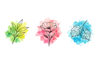 Watercolor Botanical Illustrations With Line Art Elements