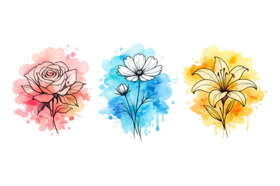 Watercolor Floral Illustrations With Rose Cosmos And Lily
